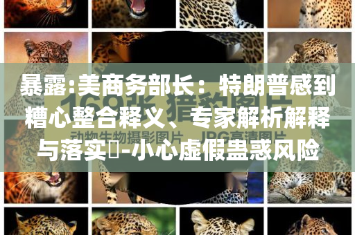 暴露:美商務部長：特朗普感到糟心整合釋義、專家解析解釋與落實?-小心虛假蠱惑風險