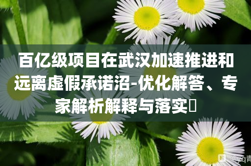百億級項目在武漢加速推進和遠離虛假承諾沼-優化解答、專家解析解釋與落實?
