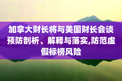 加拿大財長將與美國財長會談預防剖析、解釋與落實,防范虛假標榜風險