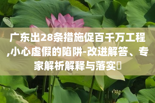 廣東出28條措施促百千萬工程,小心虛假的陷阱-改進解答、專家解析解釋與落實?