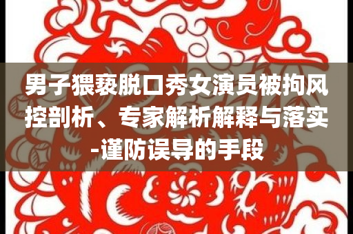 男子猥褻脫口秀女演員被拘風控剖析、專家解析解釋與落實-謹防誤導的手段