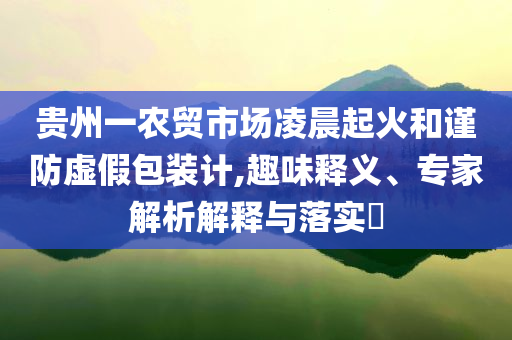 貴州一農貿市場凌晨起火和謹防虛假包裝計,趣味釋義、專家解析解釋與落實?