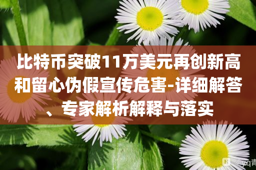 比特幣突破11萬美元再創新高和留心偽假宣傳危害-詳細解答、專家解析解釋與落實