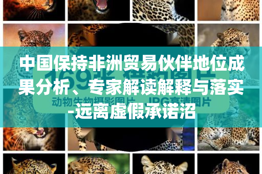 中國保持非洲貿(mào)易伙伴地位成果分析、專家解讀解釋與落實-遠(yuǎn)離虛假承諾沼