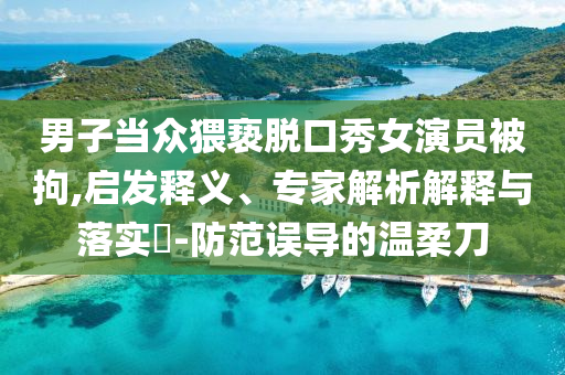 男子當(dāng)眾猥褻脫口秀女演員被拘,啟發(fā)釋義、專家解析解釋與落實(shí)?-防范誤導(dǎo)的溫柔刀