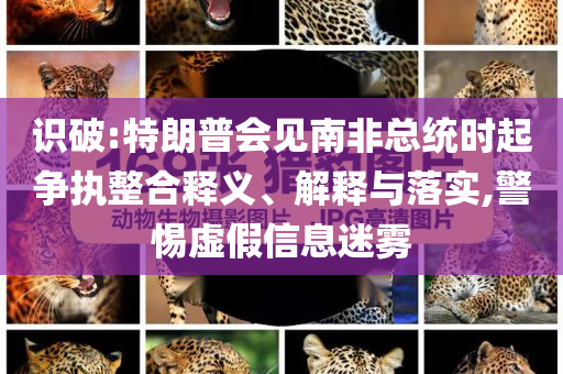 識破:特朗普會見南非總統時起爭執整合釋義、解釋與落實,警惕虛假信息迷霧