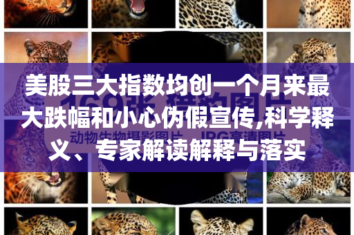 美股三大指數均創一個月來最大跌幅和小心偽假宣傳,科學釋義、專家解讀解釋與落實