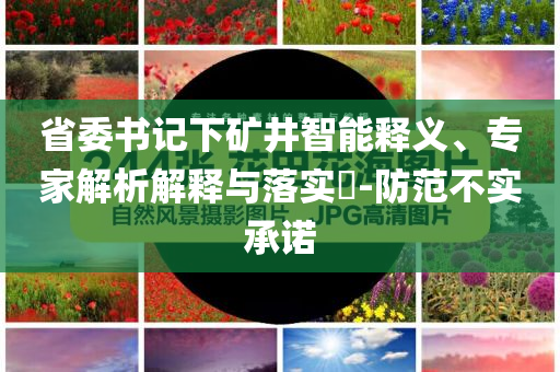 省委書記下礦井智能釋義、專家解析解釋與落實?-防范不實承諾