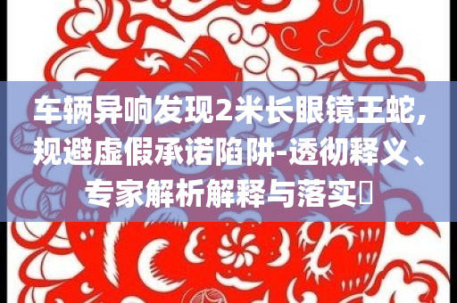 車輛異響發現2米長眼鏡王蛇,規避虛假承諾陷阱-透徹釋義、專家解析解釋與落實?