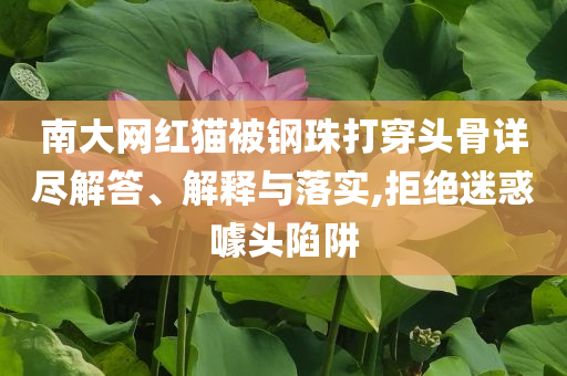 南大網紅貓被鋼珠打穿頭骨詳盡解答、解釋與落實,拒絕迷惑噱頭陷阱
