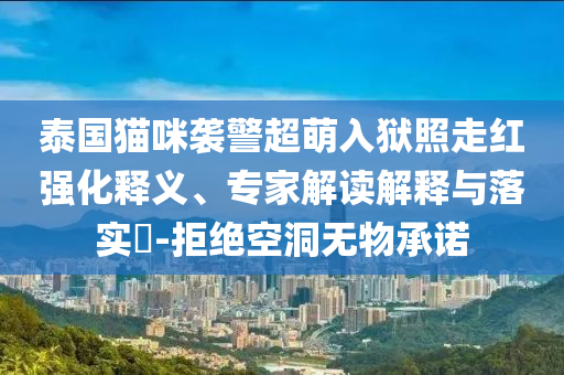 泰國貓咪襲警超萌入獄照走紅強化釋義、專家解讀解釋與落實?-拒絕空洞無物承諾