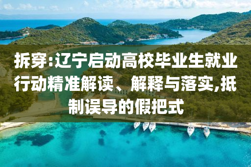拆穿:遼寧啟動高校畢業(yè)生就業(yè)行動精準解讀、解釋與落實,抵制誤導的假把式