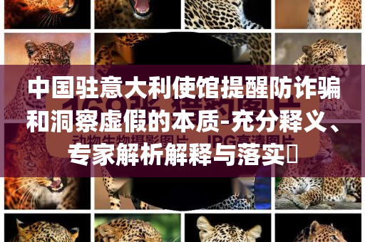 中國駐意大利使館提醒防詐騙和洞察虛假的本質(zhì)-充分釋義、專家解析解釋與落實?