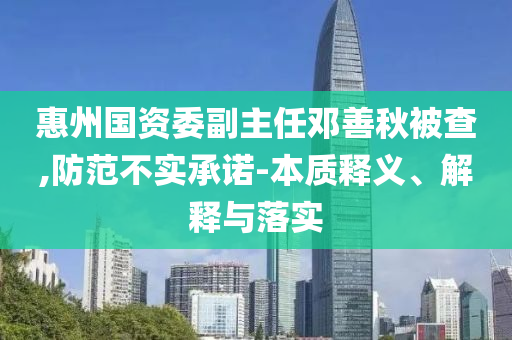惠州國資委副主任鄧善秋被查,防范不實(shí)承諾-本質(zhì)釋義、解釋與落實(shí)