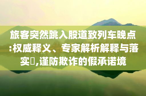 旅客突然跳入股道致列車晚點:權(quán)威釋義、專家解析解釋與落實?,謹(jǐn)防欺詐的假承諾境