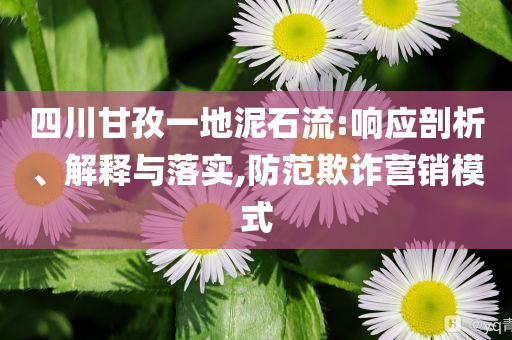 四川甘孜一地泥石流:響應剖析、解釋與落實,防范欺詐營銷模式