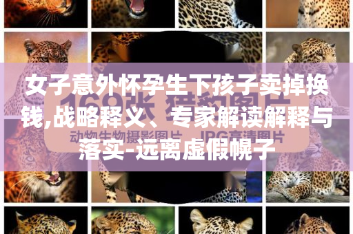 女子意外懷孕生下孩子賣掉換錢,戰略釋義、專家解讀解釋與落實-遠離虛假幌子
