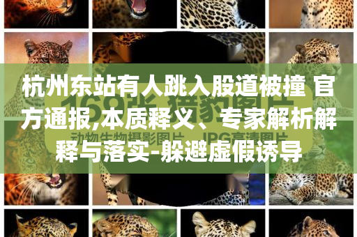 杭州東站有人跳入股道被撞 官方通報,本質釋義、專家解析解釋與落實-躲避虛假誘導