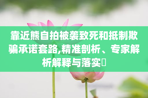 靠近熊自拍被襲致死和抵制欺騙承諾套路,精準剖析、專家解析解釋與落實?