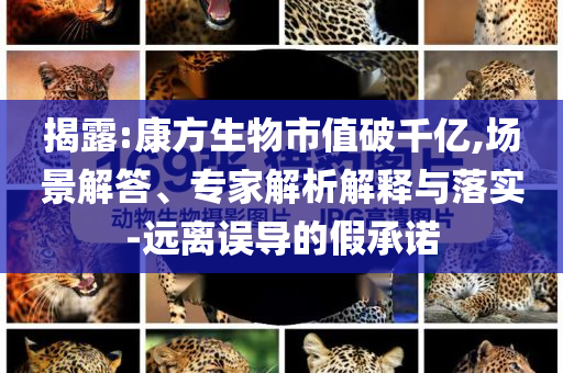 揭露:康方生物市值破千億,場景解答、專家解析解釋與落實-遠離誤導的假承諾