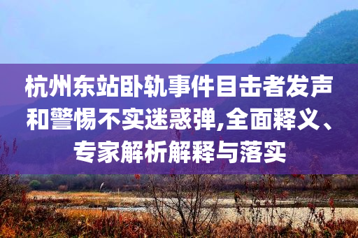 杭州東站臥軌事件目擊者發聲和警惕不實迷惑彈,全面釋義、專家解析解釋與落實