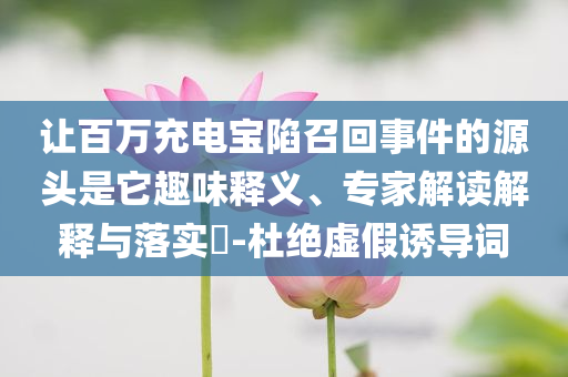 讓百萬充電寶陷召回事件的源頭是它趣味釋義、專家解讀解釋與落實(shí)?-杜絕虛假誘導(dǎo)詞
