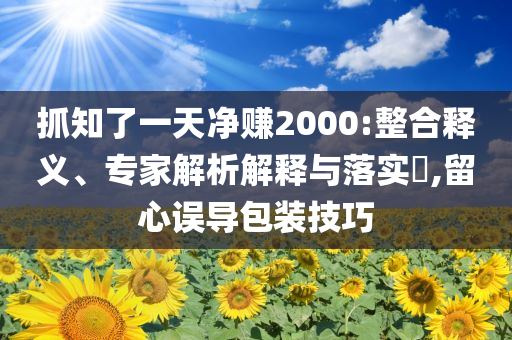 抓知了一天凈賺2000:整合釋義、專家解析解釋與落實?,留心誤導(dǎo)包裝技巧