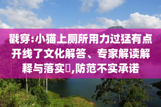 戳穿:小貓上廁所用力過猛有點(diǎn)開線了文化解答、專家解讀解釋與落實(shí)?,防范不實(shí)承諾