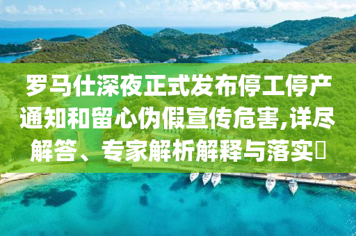 羅馬仕深夜正式發(fā)布停工停產(chǎn)通知和留心偽假宣傳危害,詳盡解答、專家解析解釋與落實(shí)?