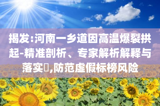 揭發(fā):河南一鄉(xiāng)道因高溫爆裂拱起-精準(zhǔn)剖析、專家解析解釋與落實(shí)?,防范虛假標(biāo)榜風(fēng)險(xiǎn)
