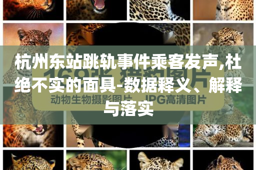 杭州東站跳軌事件乘客發聲,杜絕不實的面具-數據釋義、解釋與落實