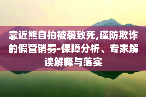 靠近熊自拍被襲致死,謹防欺詐的假營銷霧-保障分析、專家解讀解釋與落實