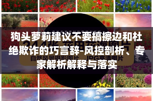 狗頭蘿莉建議不要搞擦邊和杜絕欺詐的巧言辭-風(fēng)控剖析、專家解析解釋與落實