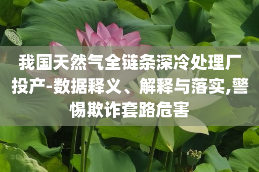我國天然氣全鏈條深冷處理廠投產(chǎn)-數(shù)據(jù)釋義、解釋與落實(shí),警惕欺詐套路危害