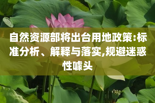自然資源部將出臺用地政策:標準分析、解釋與落實,規避迷惑性噱頭