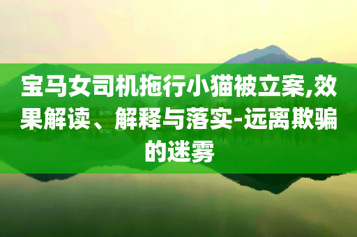 寶馬女司機拖行小貓被立案,效果解讀、解釋與落實-遠離欺騙的迷霧