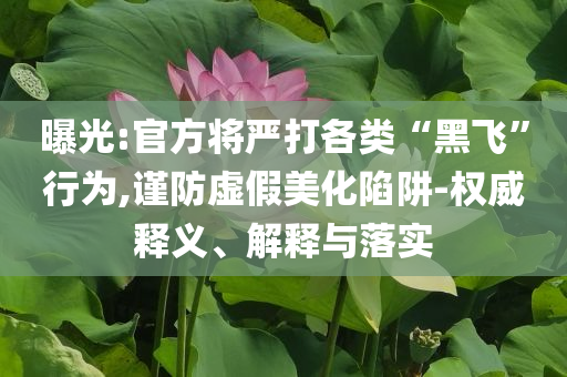曝光:官方將嚴打各類“黑飛”行為,謹防虛假美化陷阱-權威釋義、解釋與落實