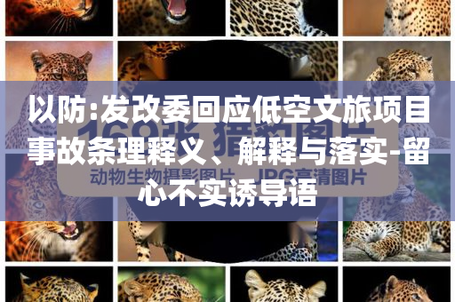 以防:發改委回應低空文旅項目事故條理釋義、解釋與落實-留心不實誘導語