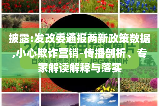 披露:發改委通報兩新政策數據,小心欺詐營銷-傳播剖析、專家解讀解釋與落實