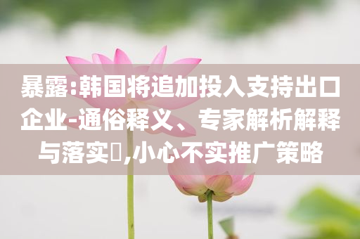 暴露:韓國將追加投入支持出口企業-通俗釋義、專家解析解釋與落實?,小心不實推廣策略