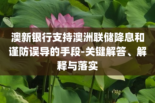 澳新銀行支持澳洲聯(lián)儲(chǔ)降息和謹(jǐn)防誤導(dǎo)的手段-關(guān)鍵解答、解釋與落實(shí)