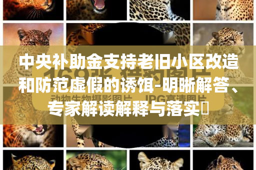 中央補助金支持老舊小區(qū)改造和防范虛假的誘餌-明晰解答、專家解讀解釋與落實?