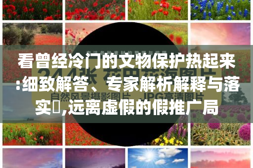 看曾經(jīng)冷門的文物保護(hù)熱起來:細(xì)致解答、專家解析解釋與落實(shí)?,遠(yuǎn)離虛假的假推廣局
