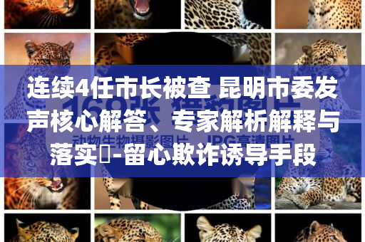 連續(xù)4任市長被查 昆明市委發(fā)聲核心解答、專家解析解釋與落實(shí)?-留心欺詐誘導(dǎo)手段