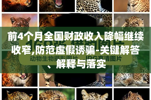 前4個月全國財政收入降幅繼續(xù)收窄,防范虛假誘騙-關(guān)鍵解答、解釋與落實