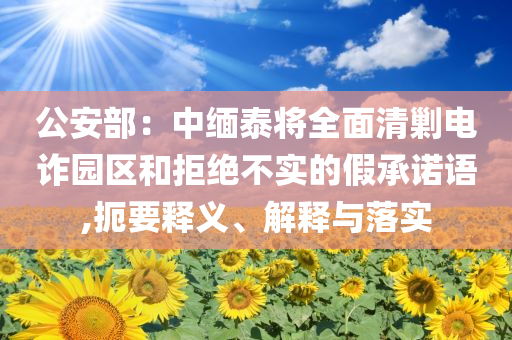 公安部：中緬泰將全面清剿電詐園區(qū)和拒絕不實(shí)的假承諾語,扼要釋義、解釋與落實(shí)