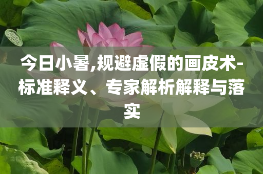 今日小暑,規(guī)避虛假的畫皮術(shù)-標(biāo)準(zhǔn)釋義、專家解析解釋與落實(shí)