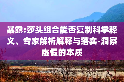 暴露:莎頭組合能否復制科學釋義、專家解析解釋與落實-洞察虛假的本質