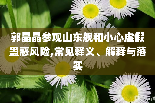郭晶晶參觀山東艦和小心虛假蠱惑風險,常見釋義、解釋與落實