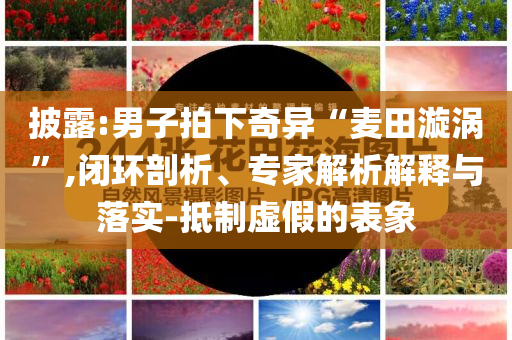 披露:男子拍下奇異“麥田漩渦”,閉環(huán)剖析、專家解析解釋與落實-抵制虛假的表象